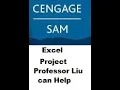 SAM Excel 18 Module 2