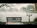 The Voices of Love: Anne Murray, Barbra Streisand, Diana Ross, Dionne Warwick [Best Songs 2025]
