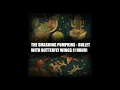 The Smashing Pumpkins - Bullet with Butterfly Wings (1 Hour)