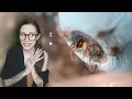 I BRED THESE World s LARGEST most chaotic Jumping Spider BABIES Hyllus giganteus