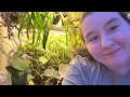 Download Lagu The best plants that like to be neglected