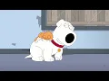 Family Guy - Maybe I was wrong about cats