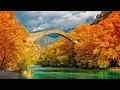 Peaceful Relaxing Instrumental Music Meditation soft Music Autumn Forest by Tim Janis