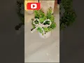 Download Lagu five minutes me banne vala hair clip bow #viral short