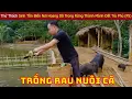 Download Lagu Sinh Tồn Trong Rừng Việt Nam Cùng Anh Trai Tự Trồng Rau, Nuôi Cá, Nuôi Lợn Để Duy Trì Sự Sống (P5)