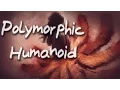 SCP-953 Polymorphic Humanoid