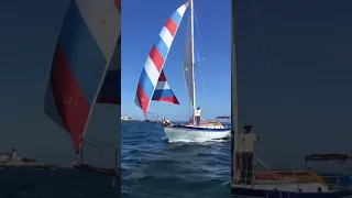 What a beauty! Westsail32 Might Sparrow