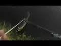 Preventing gator attacks