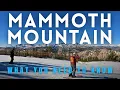Mammoth Mountain Ski Review What You Need to Know
