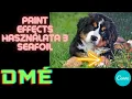 Canva Shorts 13 - Paint effects hasznalata 3