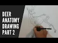 Basic drawing I Deer Anatomy drawing part 2 I Online Drawing class