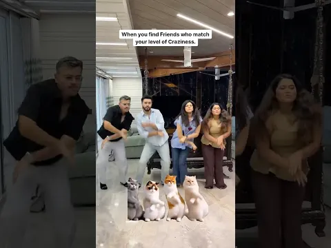 Crazy meets Crazy🤣#couple #friends #friendship #catdance #comedy #funny #relatable #friendshipgoals