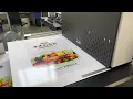 Single pass digital printer with variable data printing