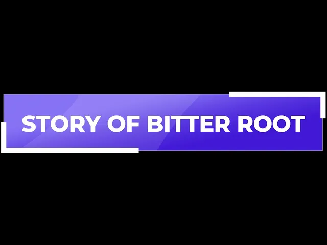 Bitter roots make us lose God's grace