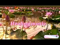 Download Lagu Healing music
