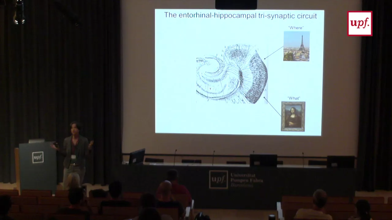 Liset Menendez de la Prida BCBT Lectures 2017