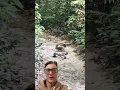 Download Lagu It’s a Snake Eat Snake WORLD! King Cobra Attacks Python! #snake