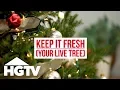 How to Care for a Live Christmas Tree HGTV