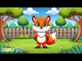 Dancing Fox Loves to Twirl and Spin Alice TV