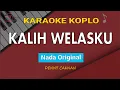 Download Lagu Kalih Welasku - Karaoke || Versi Nada Original || Denny Caknan