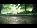 [No Ads] Sound of Rain and Thunder - 1 Hour Relaxing Sound for Sleep
