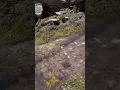 Point Fermin tide pools in Los Angeles