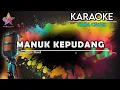 Download Lagu MANUK KEPUDANG KARAOKE
