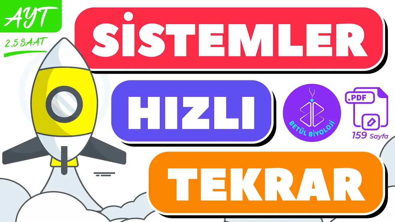 Sistemler Full Tekrar | AYT Biyoloji Konu Anlatımı | Sistemler Özet +PDF