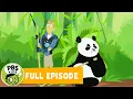 Wild Kratts FULL EPISODE Panda Power Up PBS KIDS