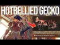 How To Get Scarlet Pet Kemono Spores Hotbellied Gecko Locations WILD HEARTS Guide