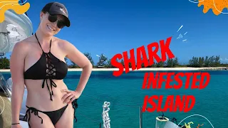 We Sail to a SHARK INFESTED Island! – Lazy Gecko Sailing VLOG 239