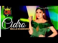 Lagu Lirik lagu cidro NELLA KHARISMA