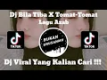 Download Lagu DJ BILA TIBA X TOMAT TOMAT | DJ AZAB REMIX VIRAL TIK TOK TERBARU 2023 YANG KALIAN CARI !!!