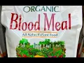 Benefits of BLOOD MEAL fertilizer How and Why use it in Organic Gardening OrganicHawaii
