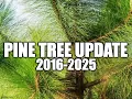 Pine Tree Update 2016-2025