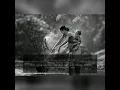 Download Lagu Puisi (terimakasih ibu)