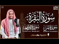Download Lagu سورة البقرة، يس، الواقعة رقية للبيت وعلاج للسحر تلاوة تريح القلب وتشرح الصدر -  Sourate Al-Baqara