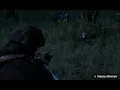 3 Star Perfect Carcass - Virginia Opossum Best Possum Location