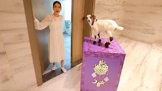 وصلني صندوق رمضاني غامض على بيتي 