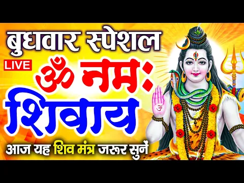 Download MP3 LIVE: सोमवार स्पेशल: ॐ नमः शिवाय धुन | Om Namah Shivaya ShivDhun | NonStop ShivDhun | Daily Mantra