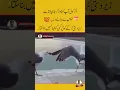 Download Lagu agar koi aap ko chhod kar❤️🤣 jana chahta hayto is se jane din #shortvideo