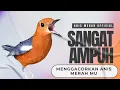 Download Lagu 123 | DIJAMIN !! PASTI IKUT BUNYI !! SUARA ANIS MERAH GACOR PANCINGAN TERCEPAT BIKIN BUNYI GACOR