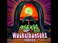 Wackelkontakt (Steve Aoki Remix)