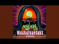 Download Lagu Wackelkontakt (Steve Aoki Remix)