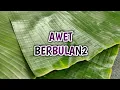 Download Lagu CARA SIMPAN DAUN PISANG. AWET BERBULAN-BULAN