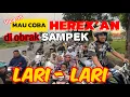 Lagu PERTAMA KALI MAU COBA HEREX’AN di OBRAK SAMPEK LARI - LARI 😱🥲⁉️