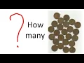 Counting Coins from Image using Python Tutorial Computer Vision Project