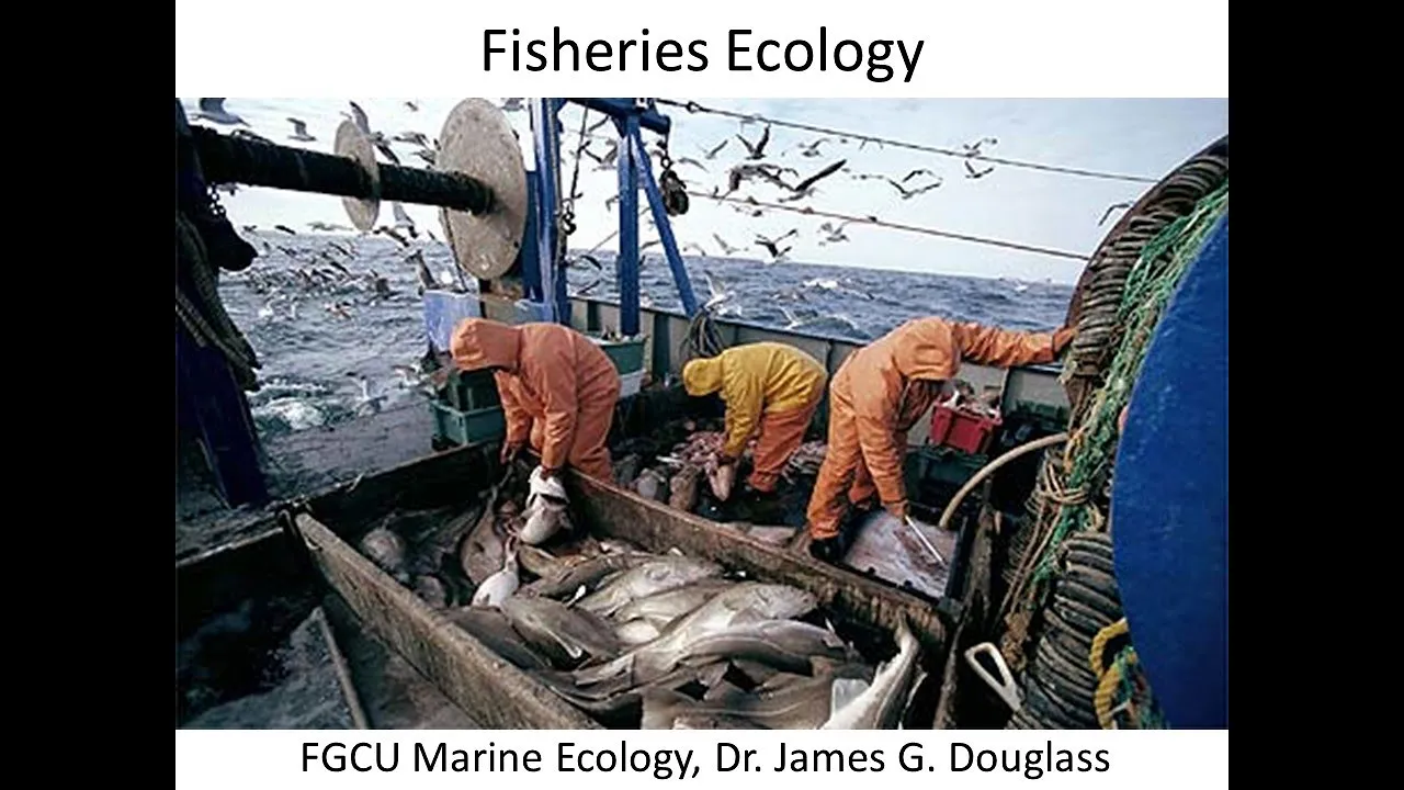 Marine Ecology: Narrated Fisheries Lecture