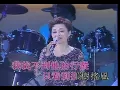 崔萍 南屏晚钟演唱会 国语 流行歌曲