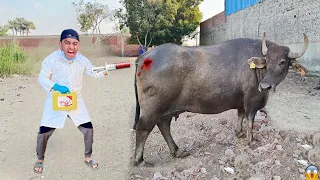 لما اخوك الصغير يشتغل دكتور بهايم ويدي حموسه الحقنه عمر نصر 